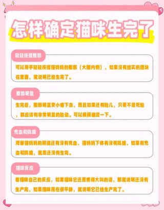 猫咪刚生产完怎么照顾？猫咪刚生产完应该吃什么（最新）