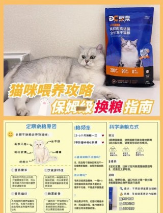 猫咪七天换粮法，（猫咪七天换粮法是一天几次）