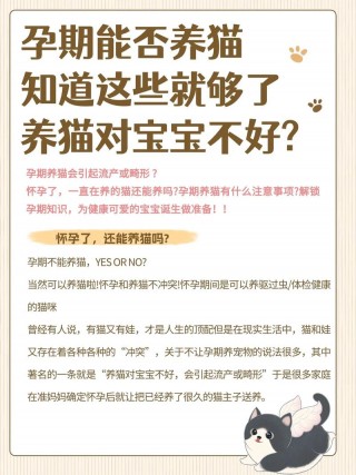怀孕可以养猫咪吗？怀孕期间能养猫咪吗（最新）