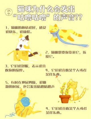 猫咪为什么会呼噜？为什么猫咪会呼噜呼噜的声音（最新）