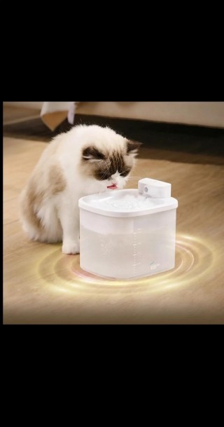 猫咪饮水机推荐，（猫咪饮水机推荐）