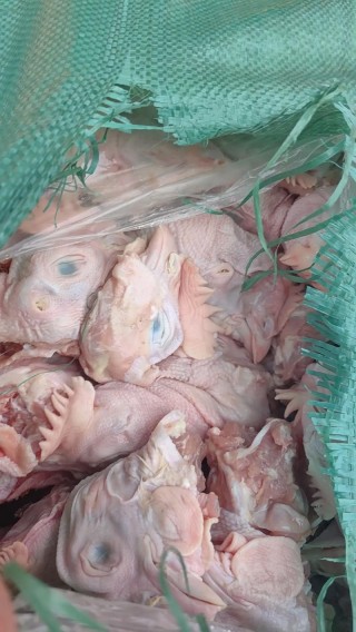 狗狗吃鸡头有什么好处，（狗狗吃鸡头会中毒吗）