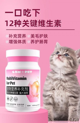 猫咪吃什么补充维生素b，猫咪吃啥补充维生素？