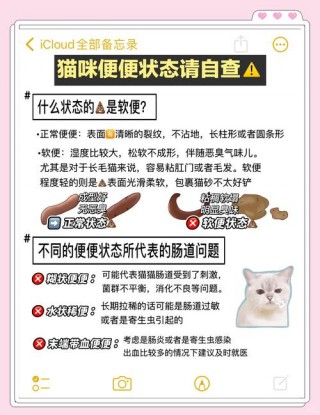 猫咪拉屎出血怎么回事？猫猫拉屎出血怎么办（最新）