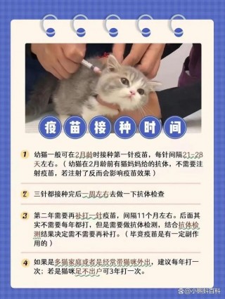猫咪打完疫苗多久能洗澡？猫咪打完疫苗后多久可以洗澡（最新）