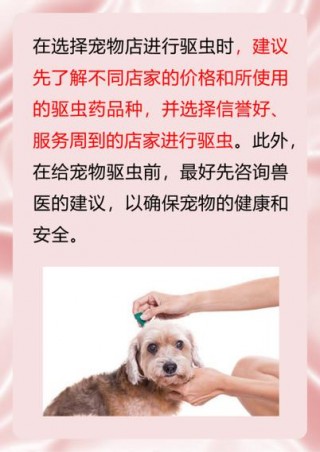 狗狗驱虫药多少钱？狗狗驱虫药费用是多少（最新）