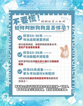 狗狗能吃维生素e吗，（狗狗可以吃维生素e的好处）