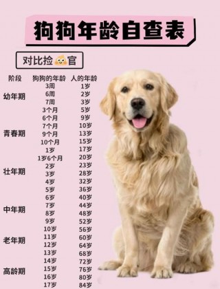 怎样判断狗狗年龄，（怎么判断狗狗年纪多大）