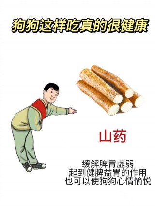 狗狗能吃淮山吗，狗狗能吃淮山吗怎么吃？