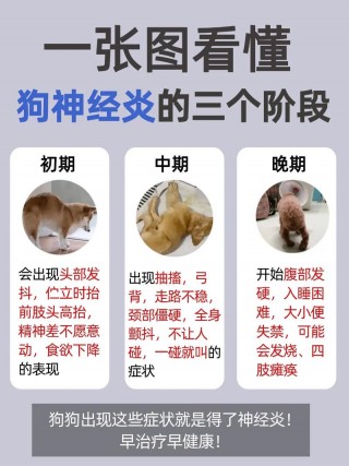 狗狗如何避免得脑炎，怎么能预防狗狗得脑炎？