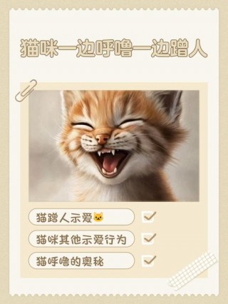 猫咪咕噜咕噜的，猫咪咕噜咕噜的声音蹭来蹭去？