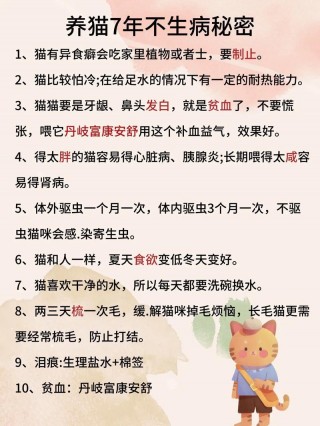 猫咪要打什么疫苗？猫咪要打什么疫苗才能驱虫（最新）