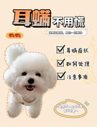 狗狗耳螨怎么引起的，狗狗耳螨怎么引起的呢？