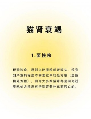 猫咪可以活多久？猫咪可以活多久不死（最新）
