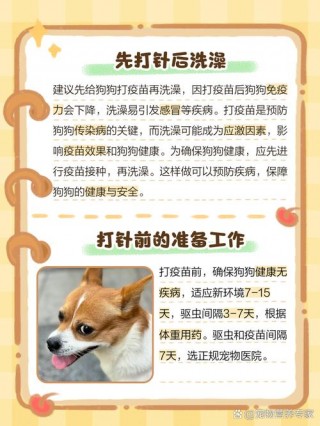 狗狗打了疫苗多久可以洗澡？狗狗打了疫苗之后几天可以洗澡（最新）