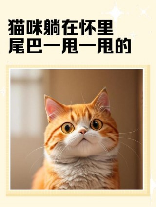 猫咪趴着摇尾巴，猫趴着时候摇尾巴？