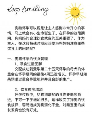 狗狗怀孕期间吃什么好？狗狗怀孕期间吃什么有营养（最新）