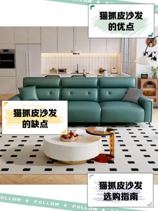 怎么防止猫咪抓沙发，（怎么防止猫咪抓沙发窗帘）