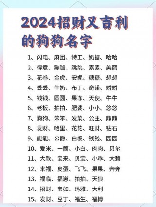 创意狗狗名字大全，（创意狗狗名字大全霸气）