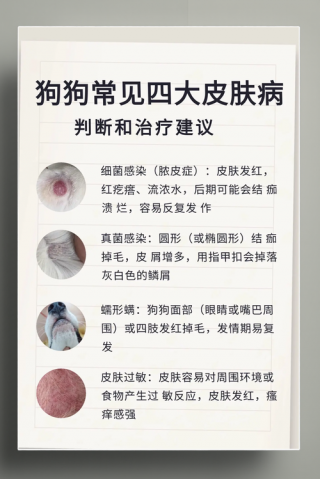 狗狗看皮肤病要多少钱，狗狗皮肤病去医院检查多少钱？