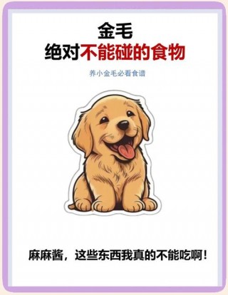 狗狗可以喝黑芝麻糊吗，（狗狗能喝黑芝麻糊么）