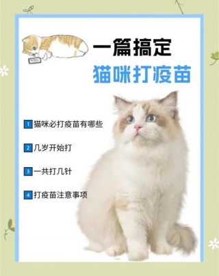 猫咪要打什么针，（猫咪要打什么针及费用）