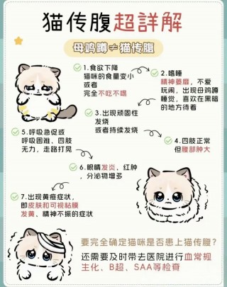 猫咪肚子疼的表现，（猫咪肚子疼怎么表现）