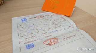 猫咪可以坐火车吗，小猫坐火车需要什么条件？