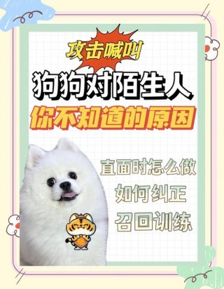 狗狗对你叫是什么意思，狗狗对你吼叫什么意思吧？