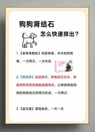 狗狗结石尿血怎么办？狗狗结石尿血怎么办啊（最新）