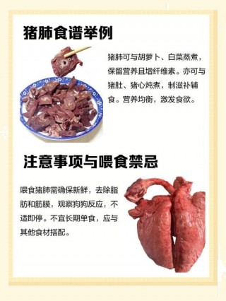 狗狗能吃猪肺吗，狗能吃猪肺子么？