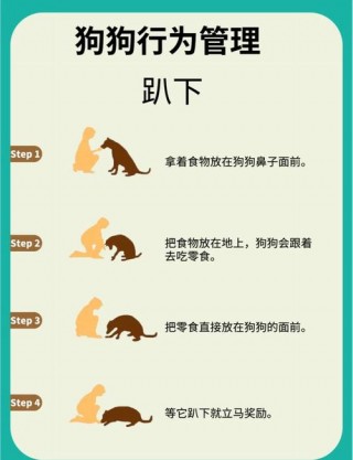 狗狗攻击性强怎么办，（狗狗攻击性咬人怎么办）