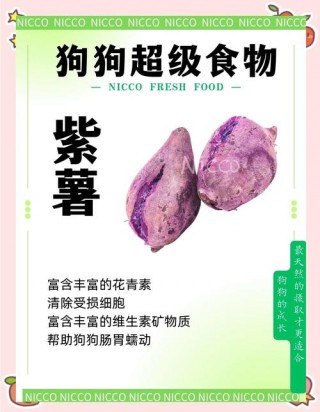 狗狗可以吃紫薯吗，狗狗可以吃紫薯吗熟的？