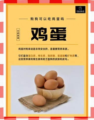 狗狗吃鸡蛋清会怎么样？狗吃鸡蛋清有什么危害吗?（最新）