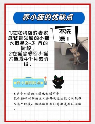 猫咪换主人会难过吗，猫咪换主人会难过吗知乎？