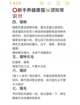 怎样让猫咪长胖？怎样让猫咪长胖健康（最新）