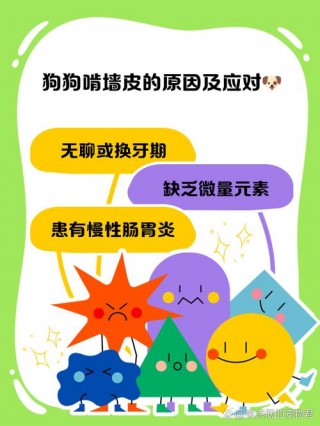 狗狗能吃肉皮吗，狗狗吃肉皮熟的能消化吗？