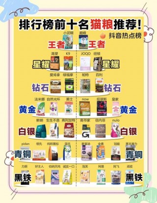 猫咪吃什么猫粮好，（猫咪吃什么猫粮好养又有营养）