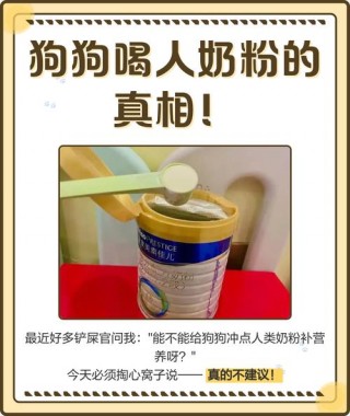 狗狗能吃奶粉吗，小狗可以吃奶粉？