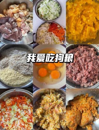 狗狗多大能吃狗粮？狗狗多大吃狗粮之外的辅食（最新）