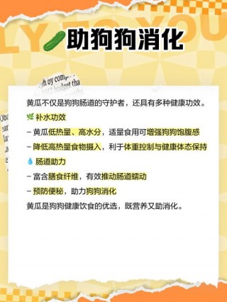 小狗狗可以吃黄瓜吗，狗子能吃黄瓜么？