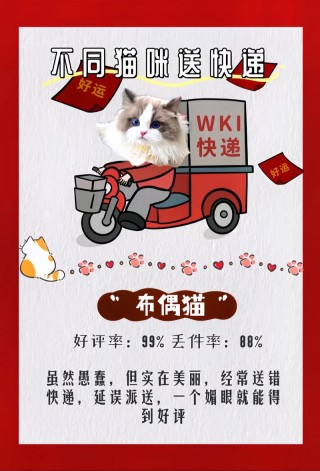 猫咪邮寄多少钱，（寄猫咪邮费一般多少）