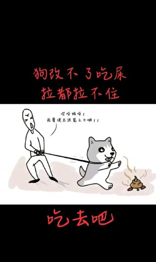 狗狗吃屎怎么能改过来？狗狗吃屎 怎么解决（最新）