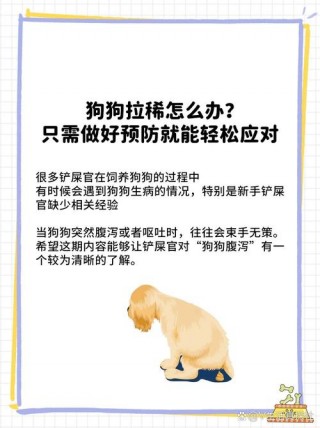 狗狗半夜拉屎怎么回事，（狗狗半夜拉屎怎么办）