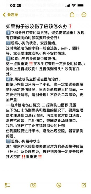 狗狗被咬伤怎么办？狗被咬伤严重怎样治疗（最新）