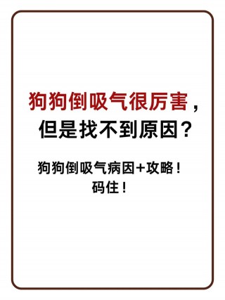 狗狗发抖是为什么？狗狗发抖原因（最新）