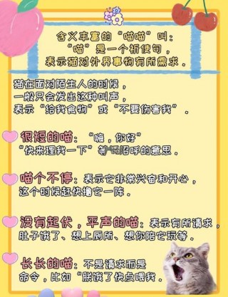 如何跟猫咪交流，如何跟猫咪交流话题？