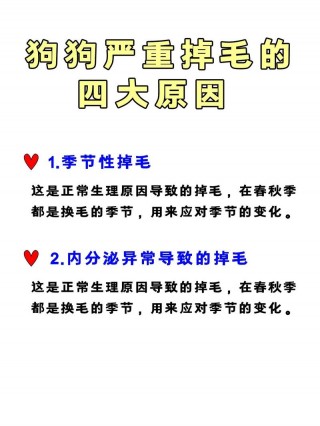 狗狗掉毛很厉害怎么办，狗狗掉毛很厉害怎么办吃什么药？