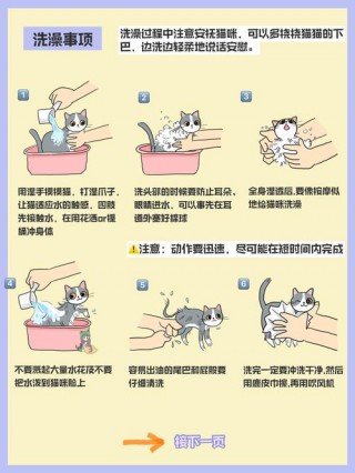在家怎么给猫咪洗澡，怎样给猫咪洗澡？