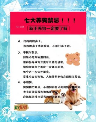 寄养狗狗注意事项，寄养狗狗怎么收费？